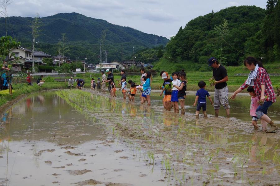 能登香の里粟井村 第38回田植え祭り