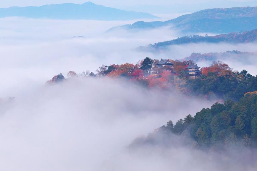 吉備川上ふれあい漫画美術館 観光スポット 岡山観光web 公式 岡山県の観光 旅行情報ならココ