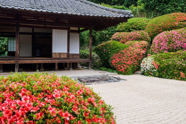 頼久寺庭園