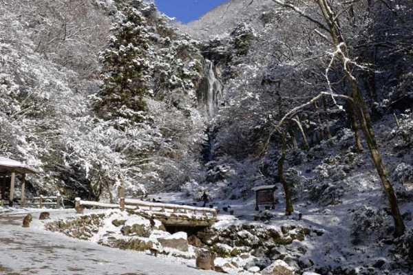 神庭の滝（雪景色とニホンザル）