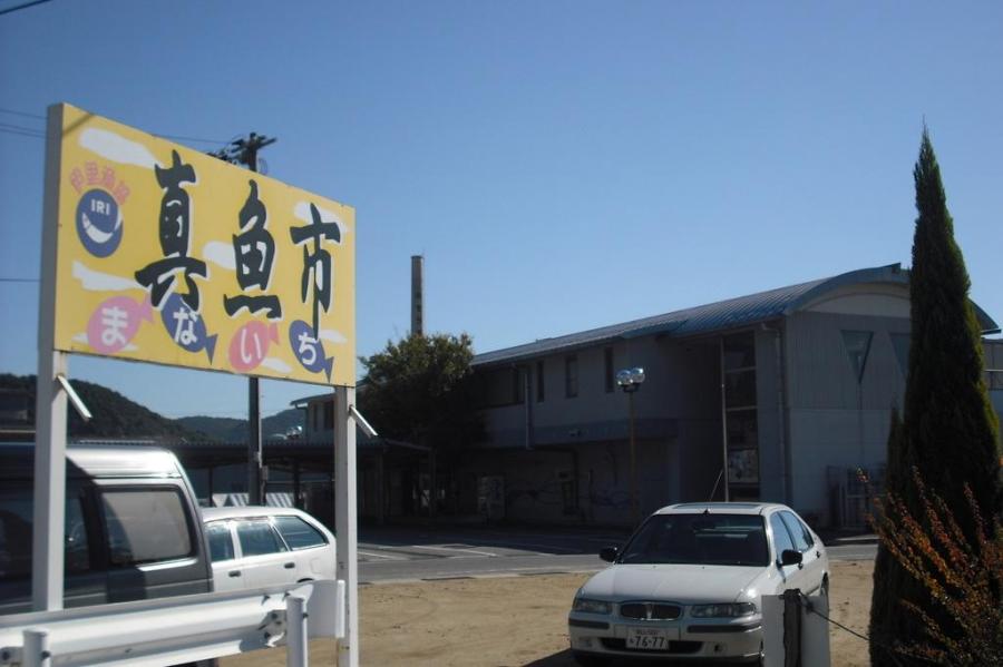 伊里漁協真魚市
