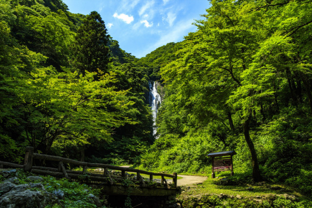 神庭の滝自然公園