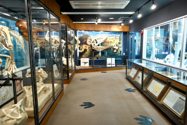 岡山理科大学　恐竜学博物館