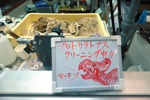 岡山理科大学　恐竜学博物館