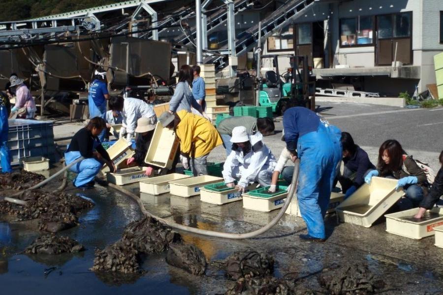 アマモ場再生活動