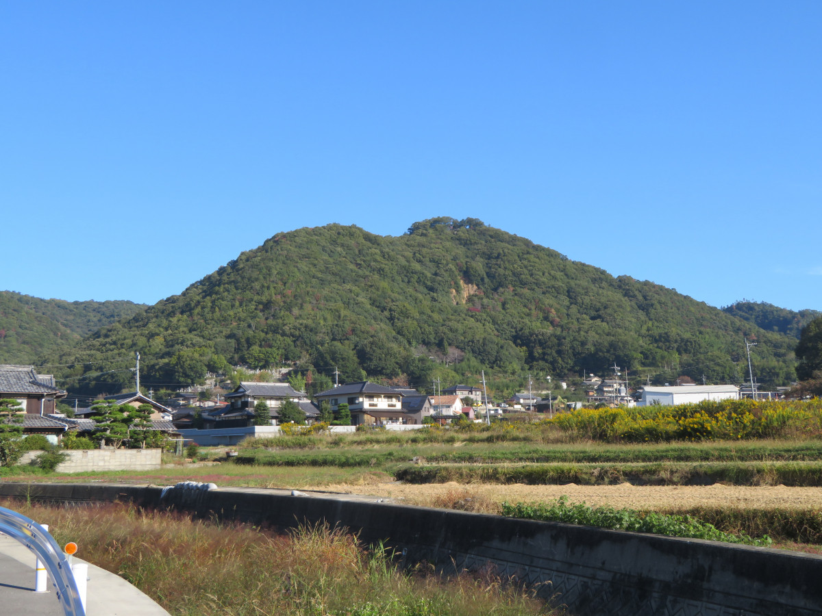 備中杉山城跡（杉山）