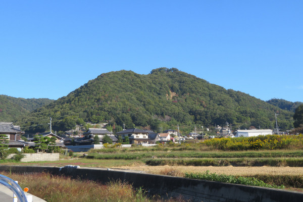 備中杉山城跡（杉山）