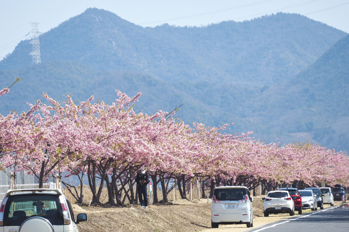児島湖花回廊 観光スポット 岡山観光web 公式 岡山県の観光 旅行情報ならココ