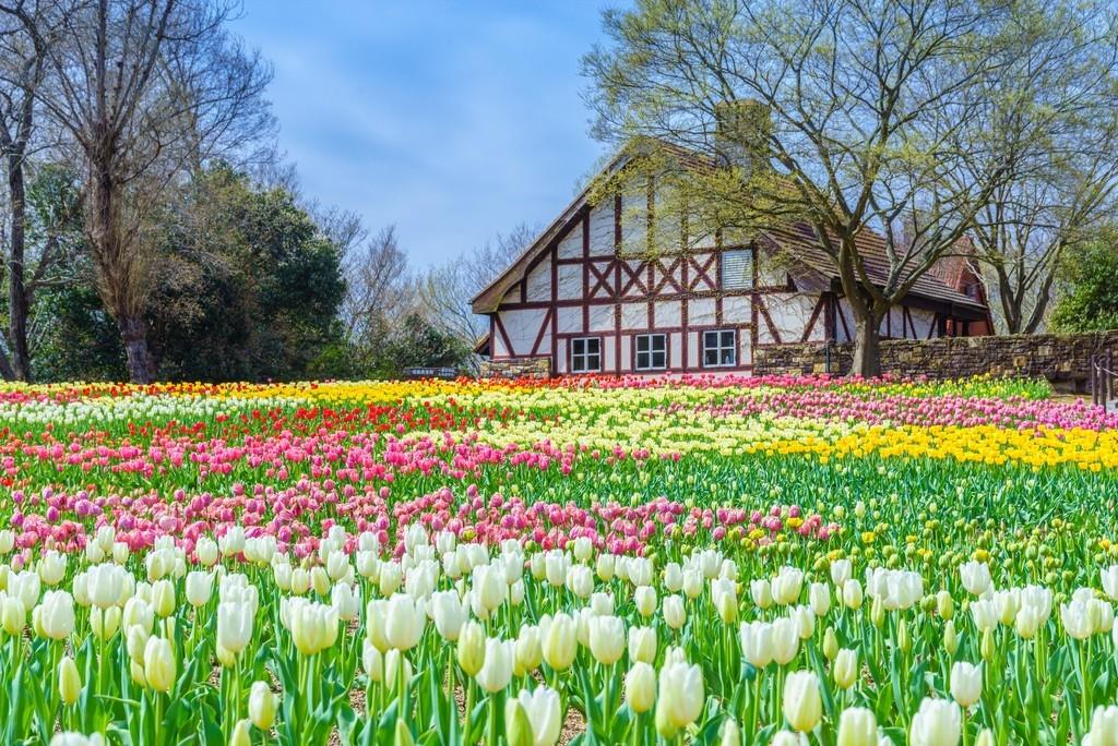 おかやまフォレストパーク ドイツの森 観光スポット 岡山観光web 公式 岡山県の観光 旅行情報ならココ