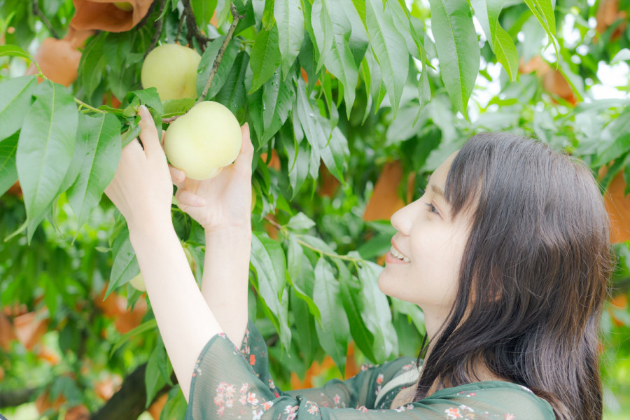 吉井農園