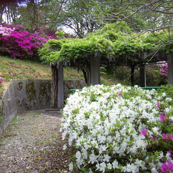 城山公園