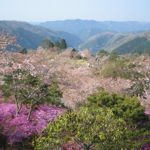 三休公園