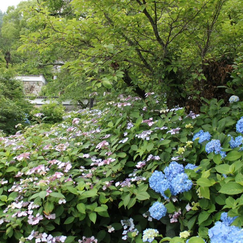 長法寺