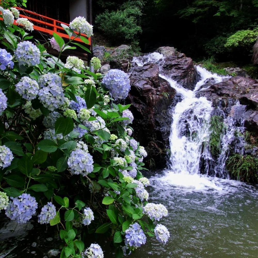 大滝山西法院