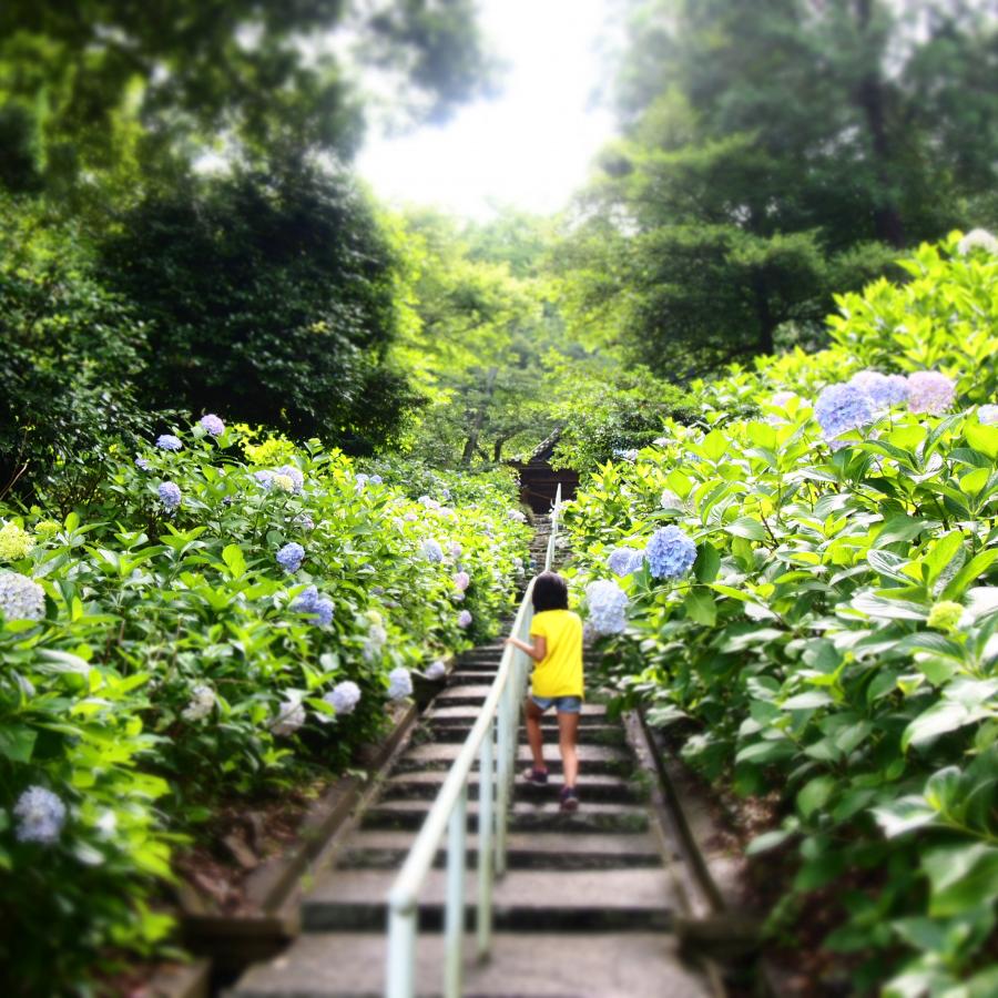 吉備津神社