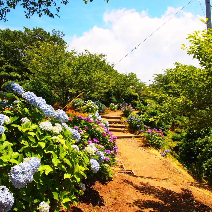 種松山公園西園地