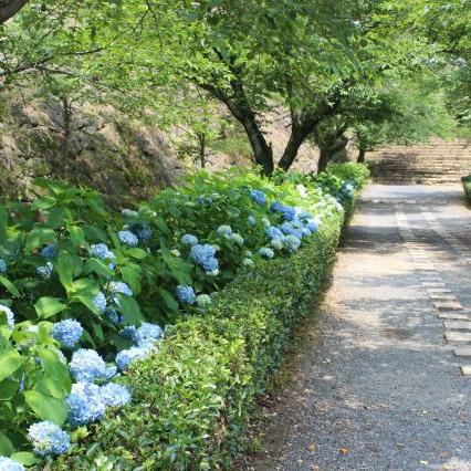 津山城（鶴山公園）