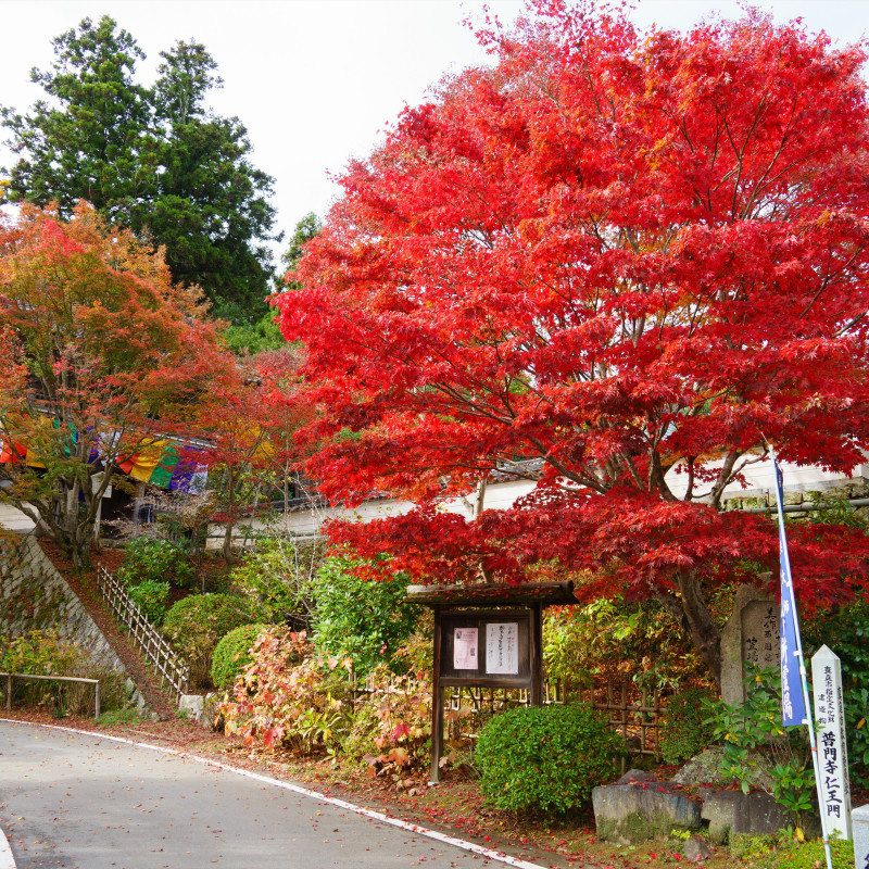 普門寺
