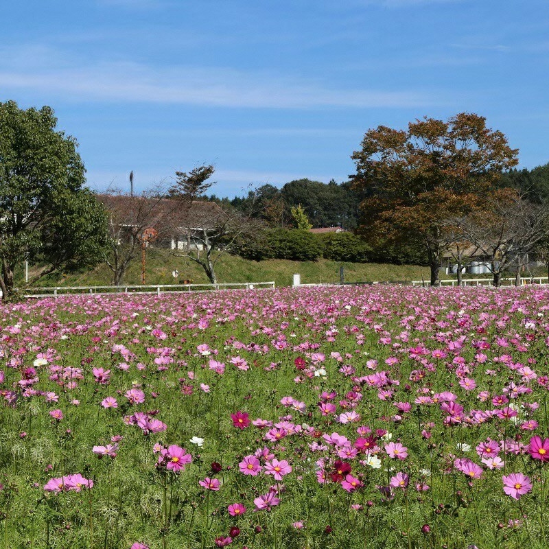 まきばの館