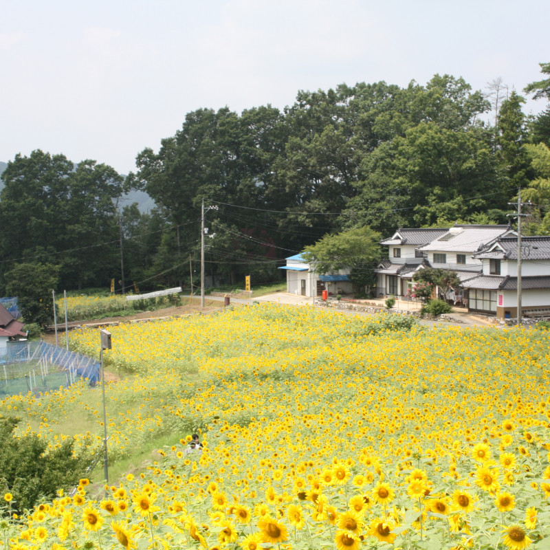 夫婦岩