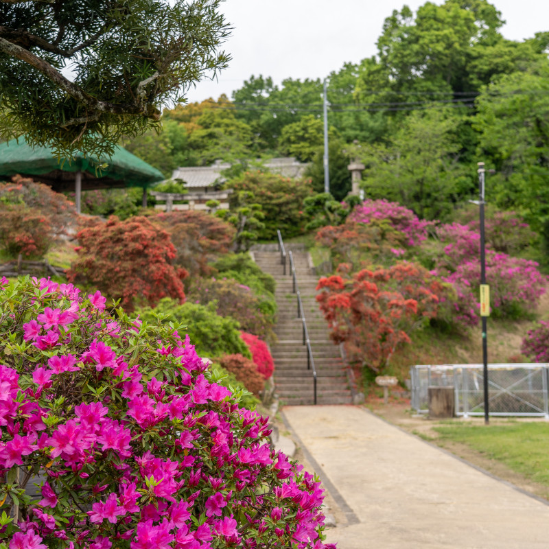 国鉾公園