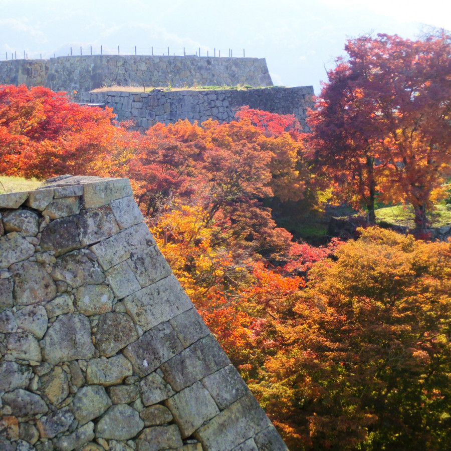 津山城（鶴山公園）