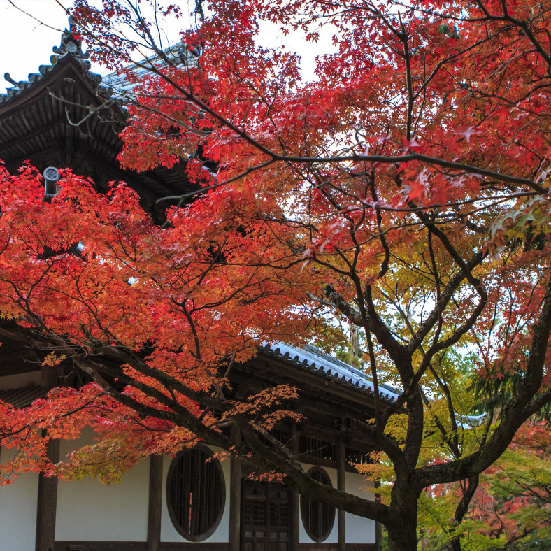 宝福寺