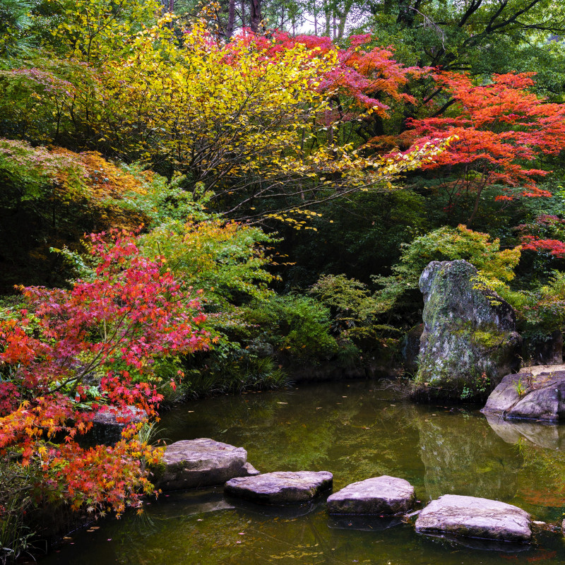 みやま公園