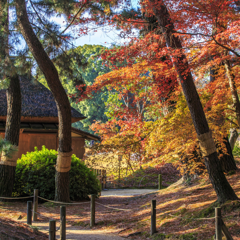 岡山後楽園