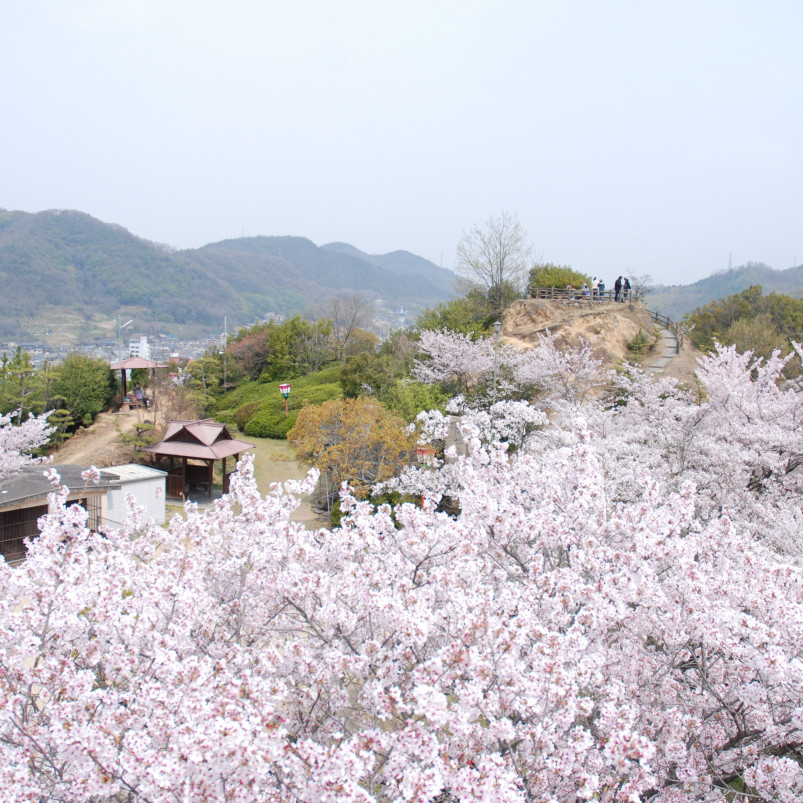 吉井城山公園