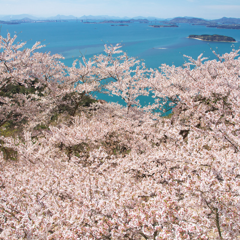 王子が岳