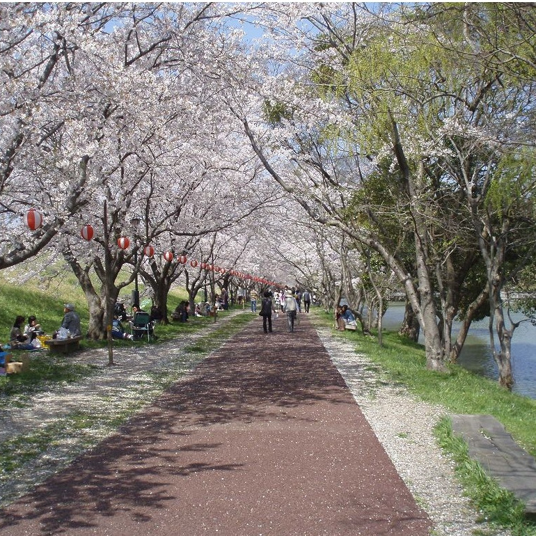 酒津公園