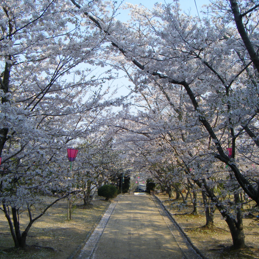 早島公園