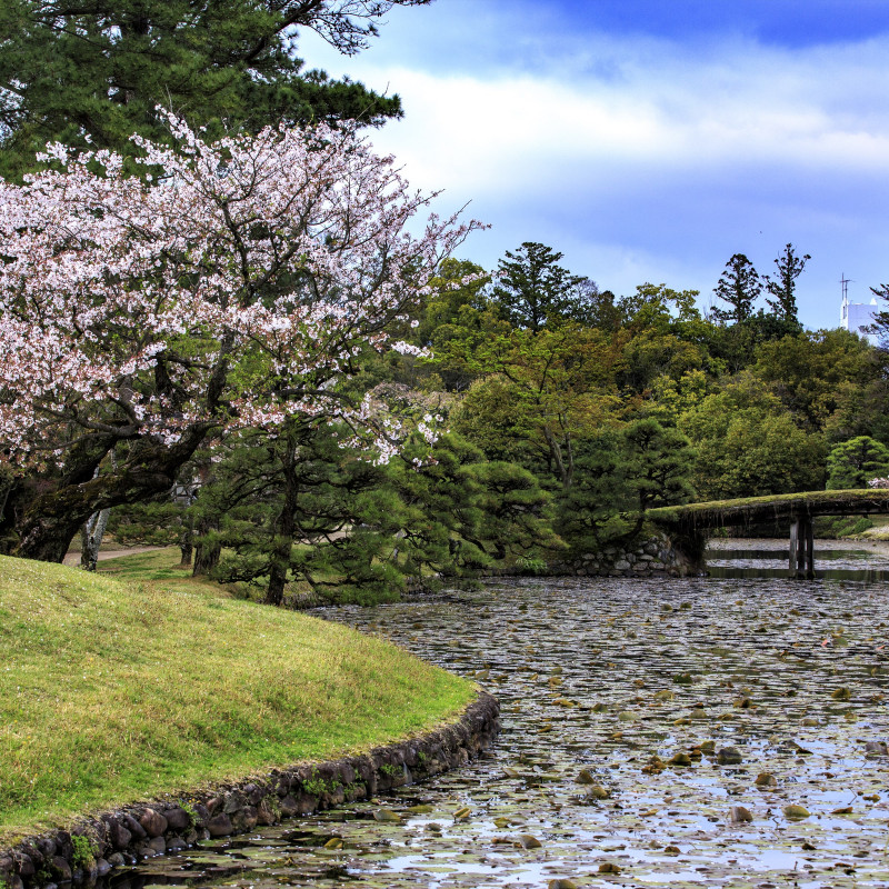 衆楽園（旧津山藩別邸庭園）
