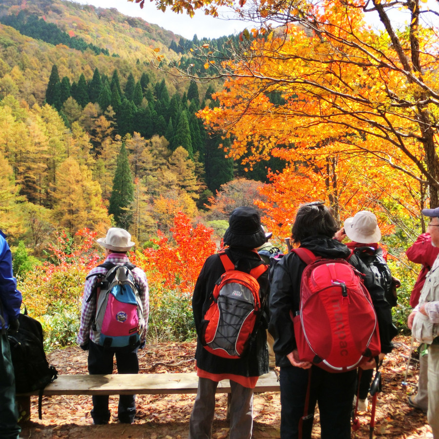 岡山県立森林公園