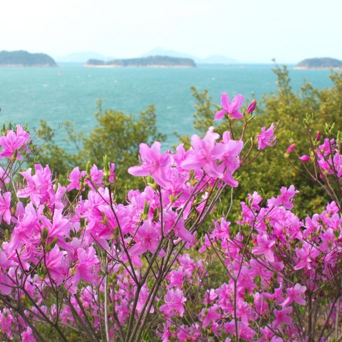 通仙園