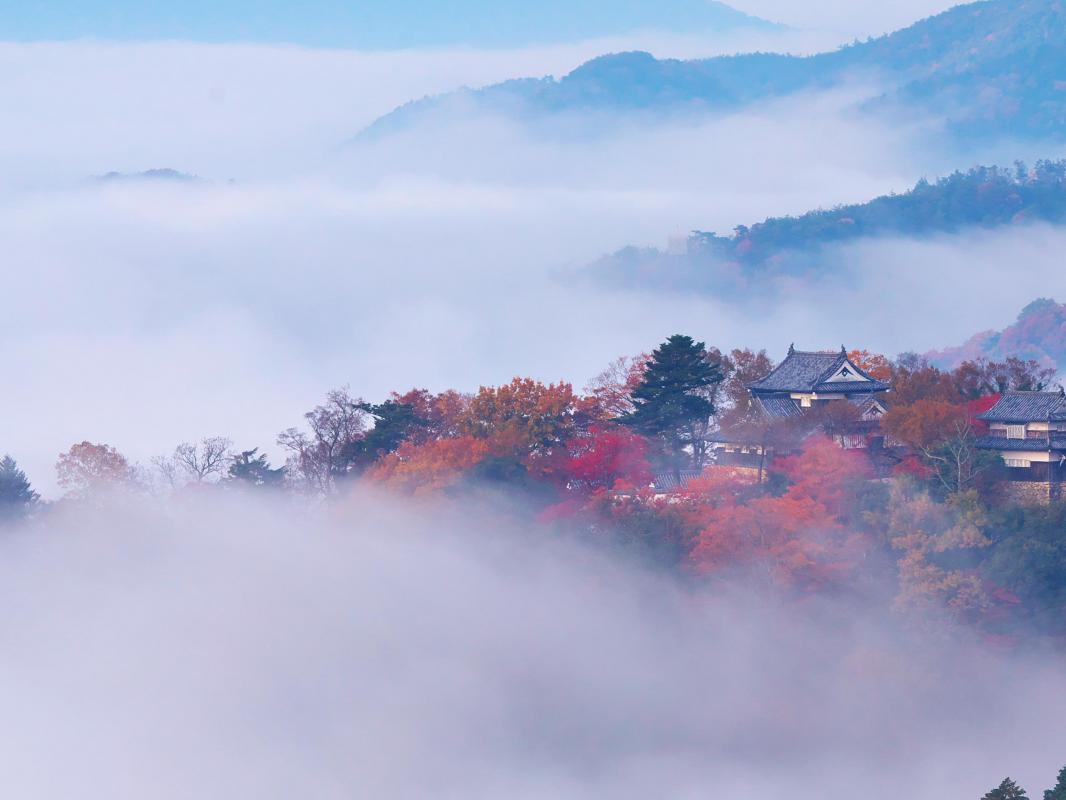 天空の山城　備中松山城