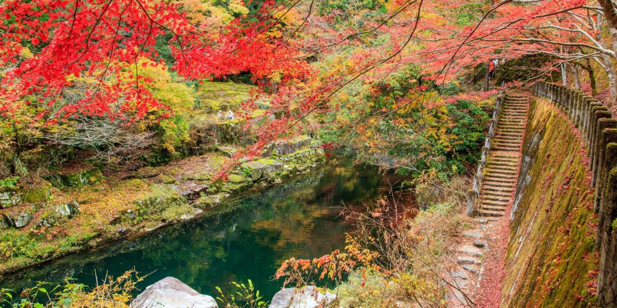 岡山で絶対見ておくべき紅葉スポット10選