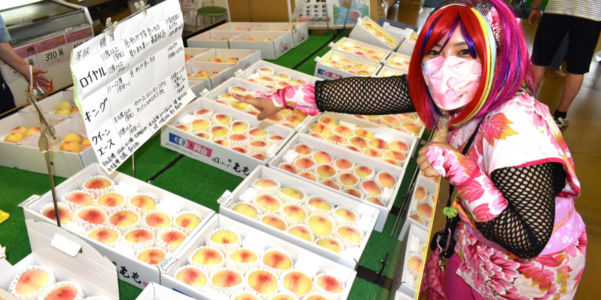 岡山の白桃ができるまで。直売店の並ぶ「玉島ピーチロード」もご紹介