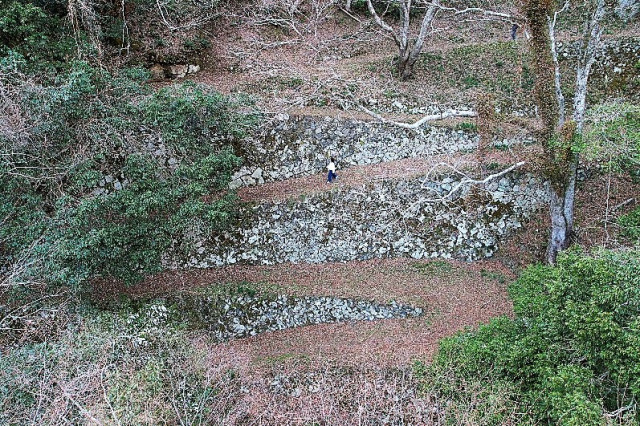 用郷林道「七曲がり」