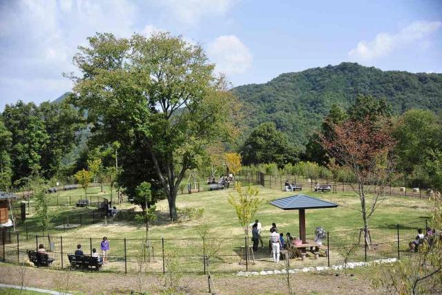 国営讃岐まんのう公園