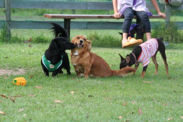 みやま公園