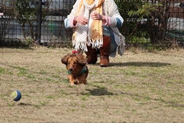 農マル園芸吉備路農園
