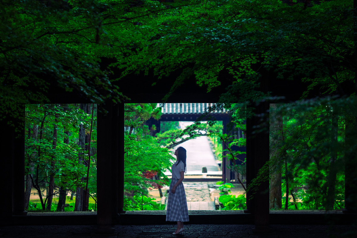 梅雨ならではの美しさ！岡山市の写真映えする庭園とお寺3選