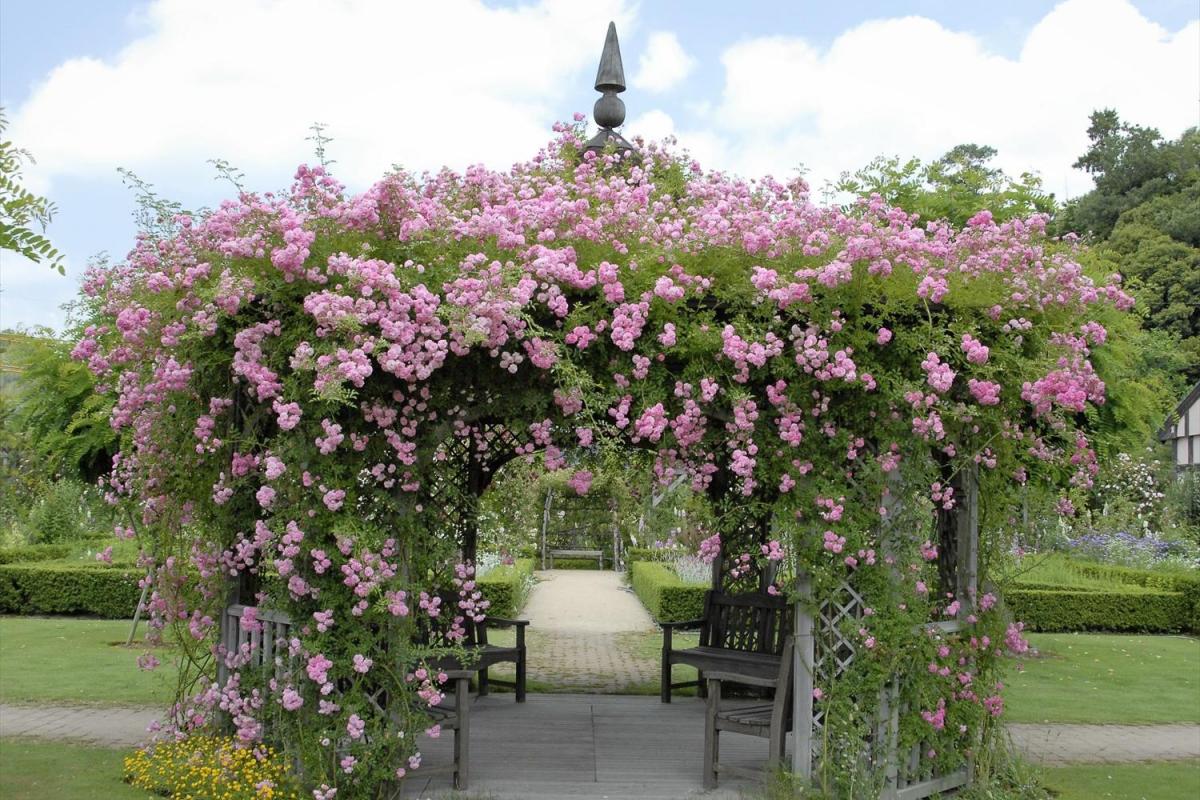 天然のアロマ香る花の園へ出かけよう！ 初夏を彩る岡山のバラ観賞スポット5選