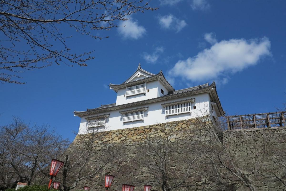 圧倒的、石垣っ…！桜の名所、津山城は戦う城だった。