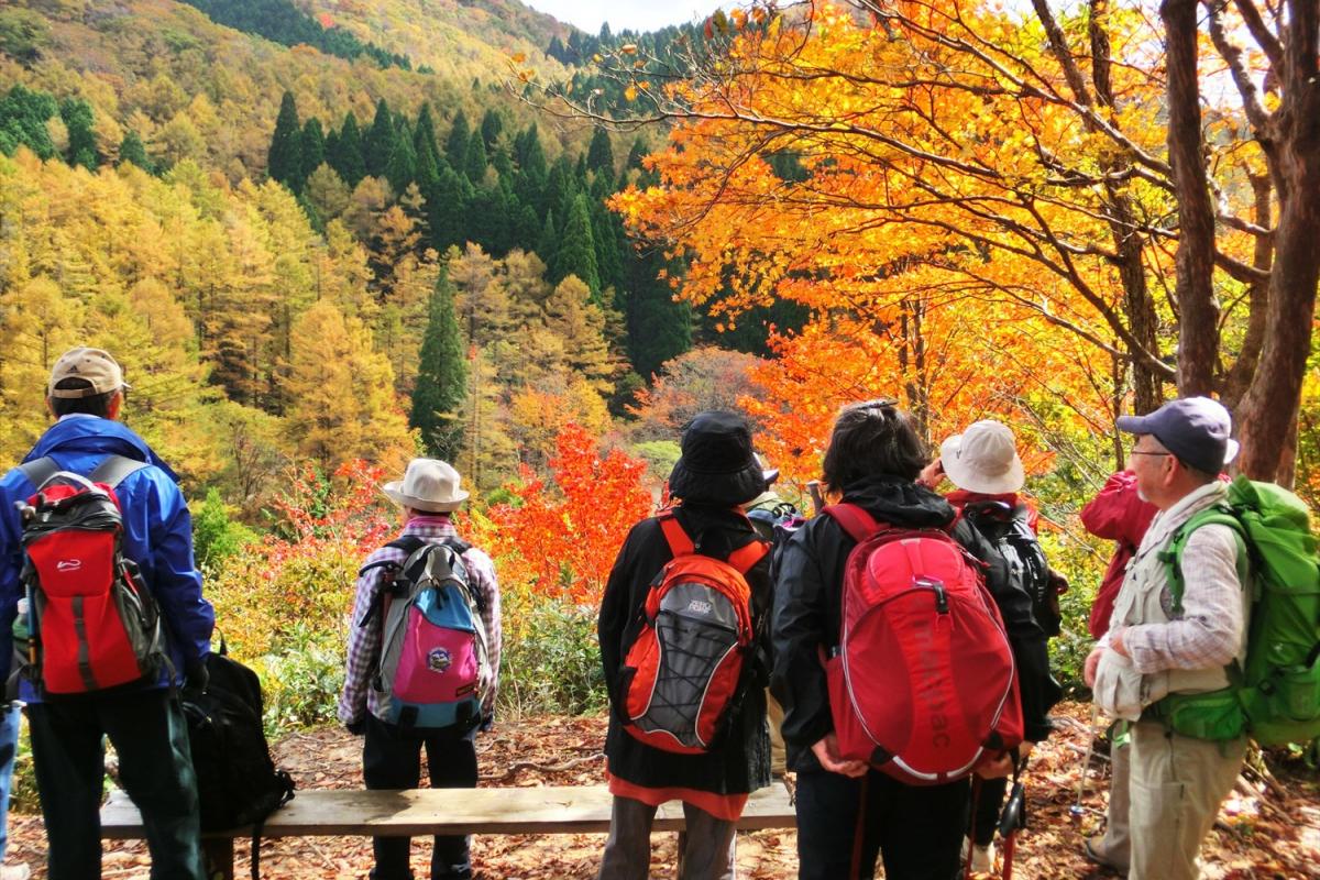 秋色の森を歩こう！ 初心者でも楽しめる岡山県北の紅葉トレッキング6選