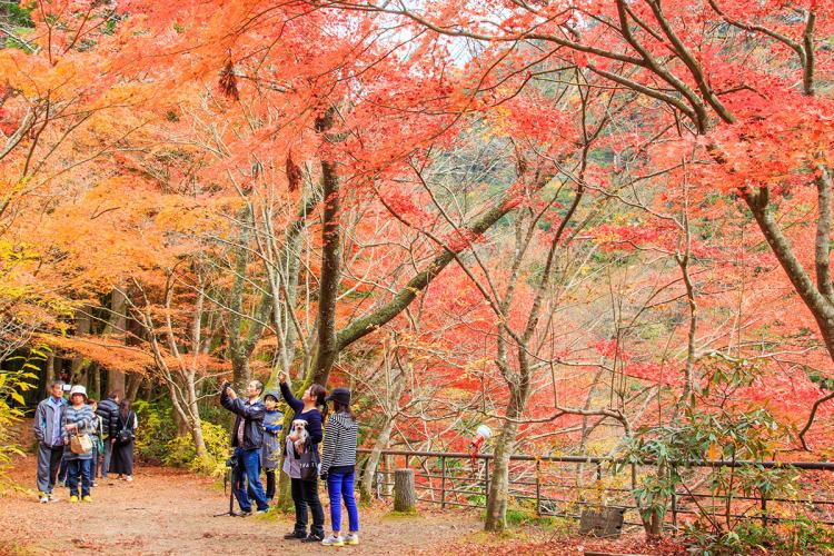 岡山で絶対見ておくべき紅葉スポット10選