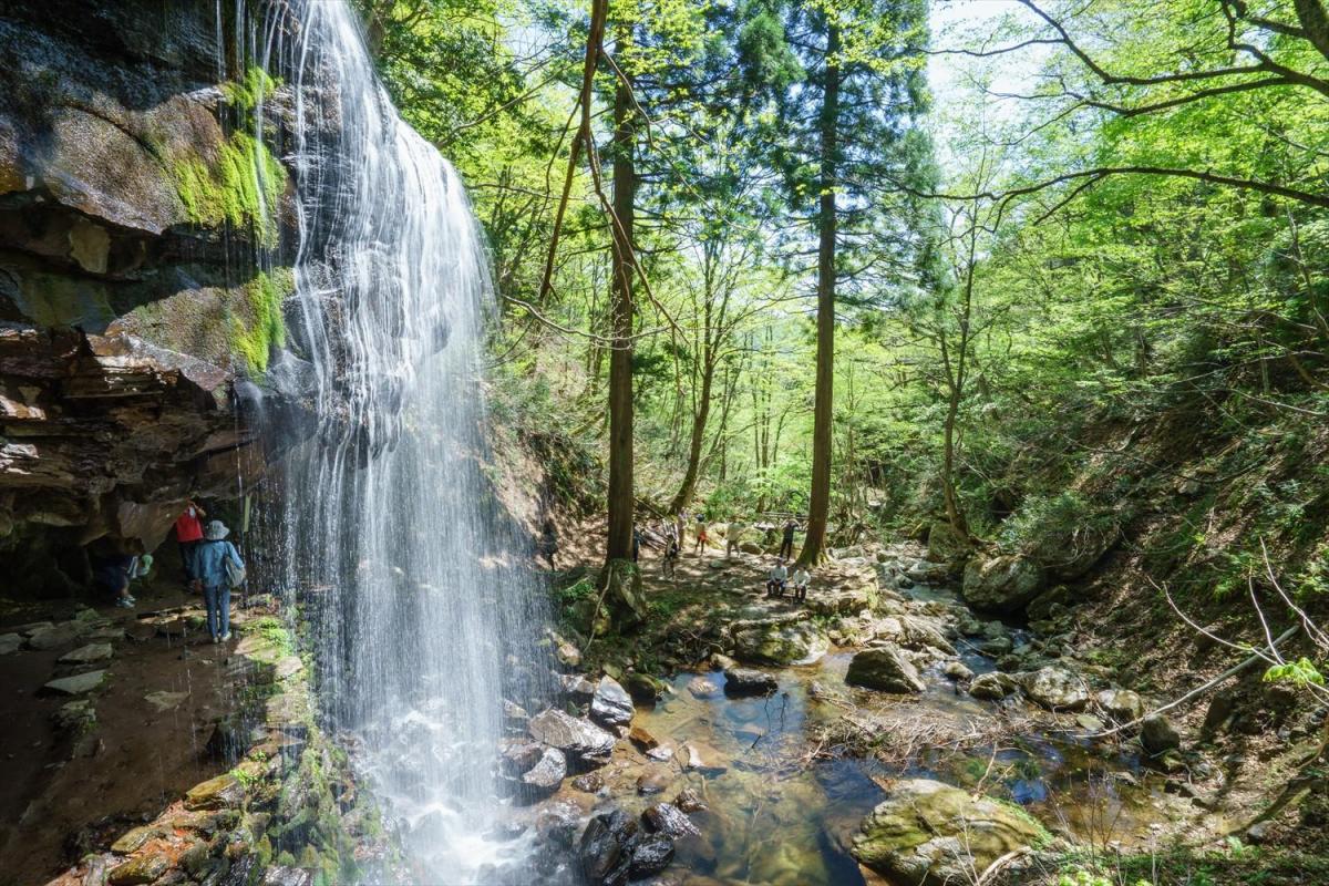 暑さ吹き飛ぶ！夏に訪れたい岡山県北 絶景の滝５選！