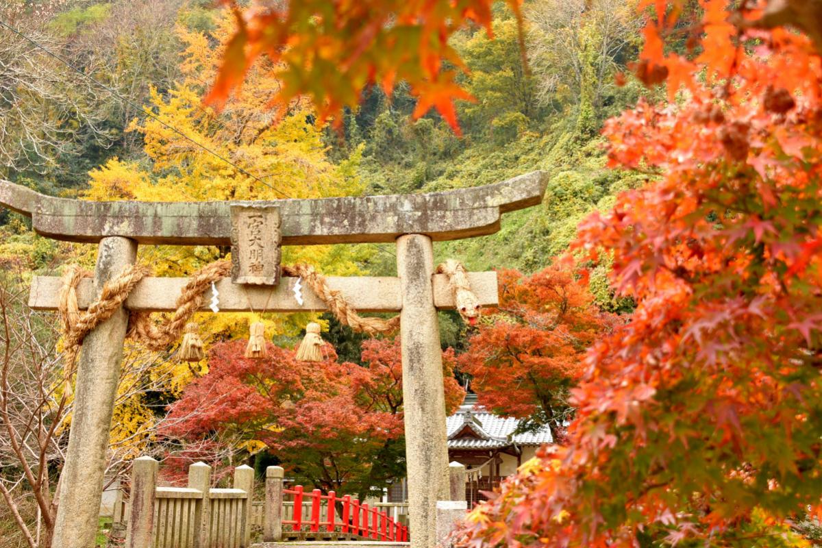 定番から穴場まで！紅葉も楽しめるパワースポットおすすめ8選